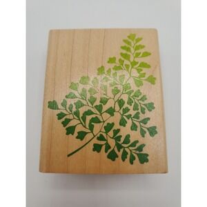 Vintage Stampede Rubber Stamp, A1129H Maiden Hair Fern, Plants